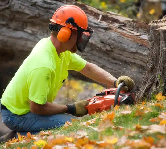 tree services West Islip